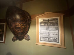 横浜「角平」で名物の極厚！かつ丼と角平発祥のつけ天そば 横綱や首相も通う名店 全記事2,000以上、全て管理人が実食、東京で最も信頼されて