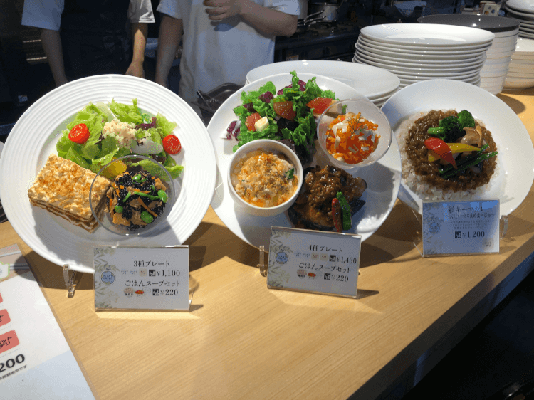 3種レート、4種プレート、彩りキーマカレーの食品サンプル＠Plant Based Tokyo 新宿