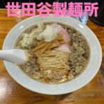 柴崎亭系列「世田谷製麺所」が梅ヶ丘にオープン！大盛無料！麺、スープ、ワンタンめちゃ美味！