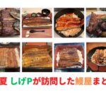 鰻大好きブロガーが2023夏に訪問した全14軒まとめ 松屋、成瀬、和友、カブト、野田岩etc.